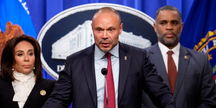 MS NOW Reporter Gets Owned By Dan Bongino