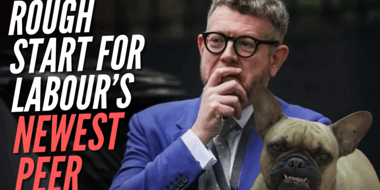 Matthew Doyle's Dog Injures Woman in 'Violent Rampage' – Guido Fawkes