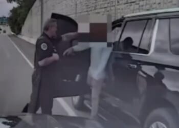 Nashville Cop and Highway Patrol Trooper Get in Shoving Match During Traffic Stop [WATCH]