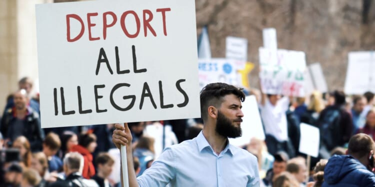 Newsmax Host Drops Based 4 Point Immigration Plan [WATCH]