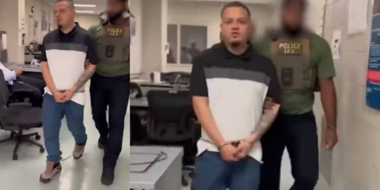 Obama Judge Orders Release of Proven Human Trafficking Gang Banging Illegal Alien [WATCH]