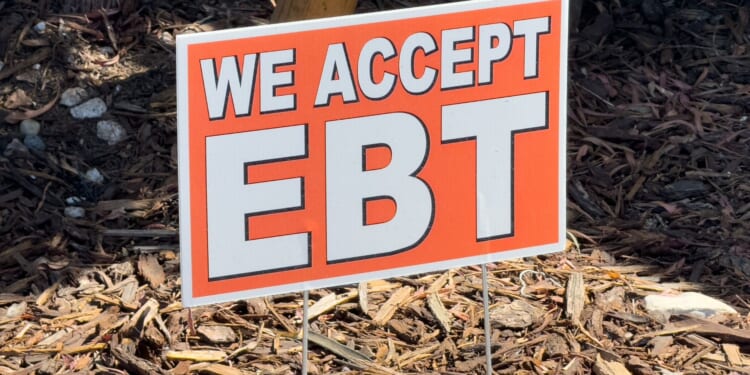 Ohio Journalist Exposes Alleged Somalian EBT Scam Fueling Cash Businesses [WATCH]