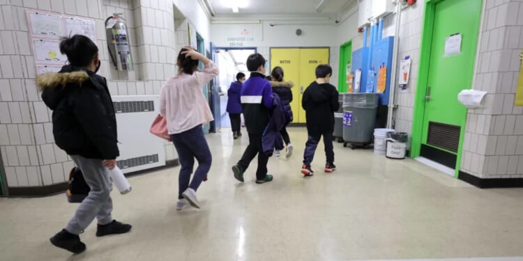 ROOKE: Teacher Accidentally Seems To Make Best Case For Why Public Schools Are Failing Students