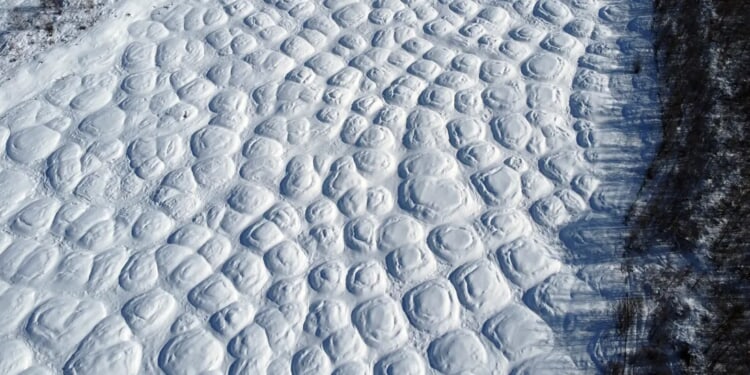 Rare Snow Rollers Make Appearance In Michigan