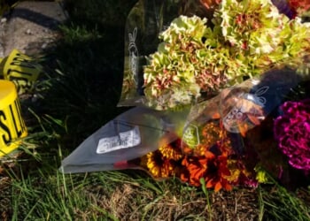 Roderick MacLeod Killed By Motorist With Over 100 Arrests