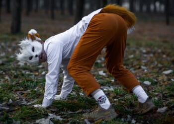 SUNY Plattsburgh Approves Furry Student Club as Campus Trend Spreads