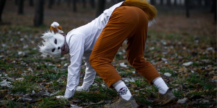 SUNY Plattsburgh Approves Furry Student Club as Campus Trend Spreads