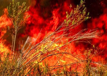 South Dakota, Wyoming See Evacuations Due To Wildfires Erupting From Hurricane-Force Winds