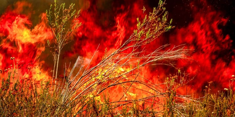South Dakota, Wyoming See Evacuations Due To Wildfires Erupting From Hurricane-Force Winds