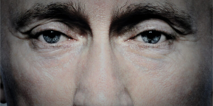 Ted Jeffery: It is about time NATO grew a pair with Putin