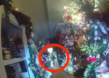 Tennessee Cops Rescue ‘Tipsy Legend’ Stuck In Christmas Store Chair