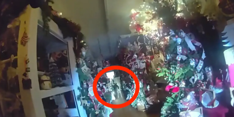Tennessee Cops Rescue ‘Tipsy Legend’ Stuck In Christmas Store Chair