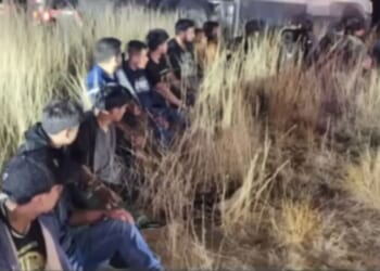 Texas Trucker Busted with 23 Illegals Stuffed into the Cab of His Big Rig [WATCH]