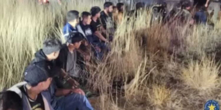 Texas Trucker Busted with 23 Illegals Stuffed into the Cab of His Big Rig [WATCH]