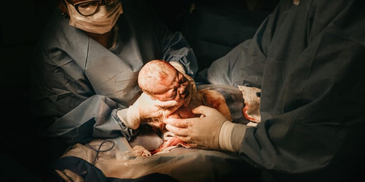 The Absurdities of Birthright Citizenship | The American Spectator