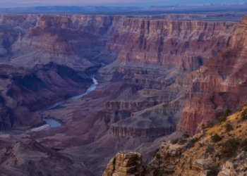 The Spectator P.M. Ep. 174: Trump Plans to Rake in Cash From Foreign Tourists | The American Spectator