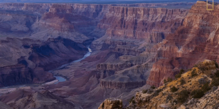 The Spectator P.M. Ep. 174: Trump Plans to Rake in Cash From Foreign Tourists | The American Spectator