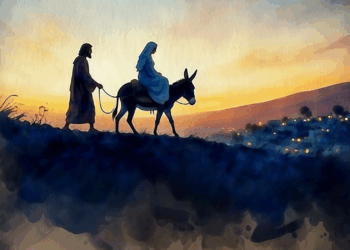 The perfect Christmas