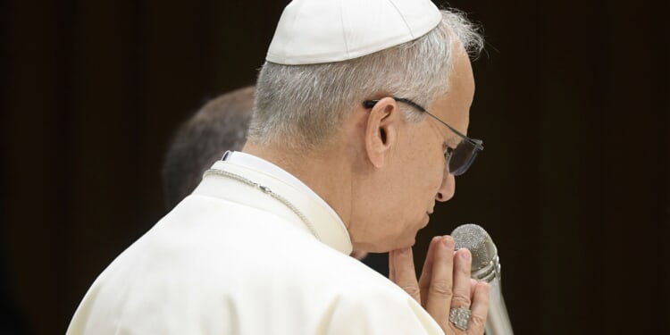 These are Pope Leo XIV’s prayer intentions for 2026