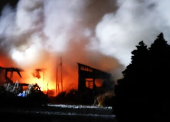 Tsunami Waves Spotted After Magnitude 7.6 Earthquake Rocks Coast Of Japan