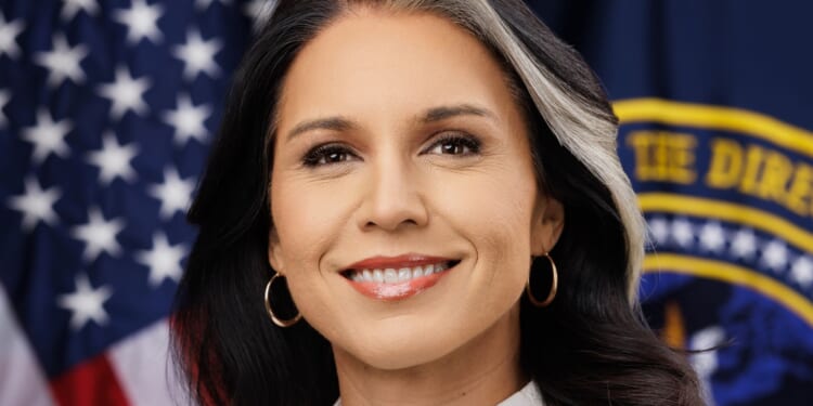 Undeniable Fact: Obama Behind Years-Long Coup Against Trump, More Coming Out: Gabbard [WATCH]