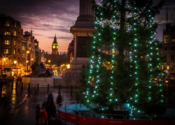 Viggo Terling: Just a reminder what the Trafalgar Square Christmas tree Is really about