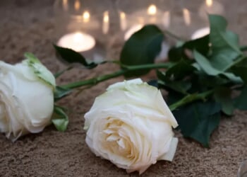 Voice Actor Jeff Garcia Dies At Age 50 After Being Pulled Off Life Support