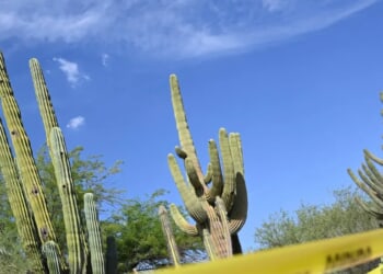 WARREN PETERSEN: Conservative Arizona Shows How To Maintain Rule Of Law In Divided Government