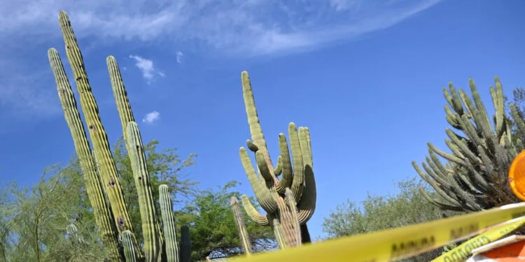 WARREN PETERSEN: Conservative Arizona Shows How To Maintain Rule Of Law In Divided Government