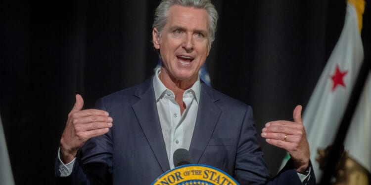 Welfare Fraud in Newsom's California is Exponentially Worse Than Walz's Minnesota: DeMaio [WATCH]