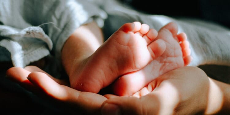 When Parenthood Becomes a Purchase | The American Spectator