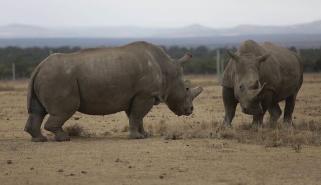 17 House Republicans Vote to Extend Obamacare Subsidies for Three Years – Twitchy