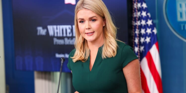 Karoline Leavitt Unloads on Tim Walz Over Minnesota Fraud [WATCH]