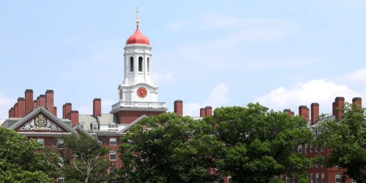 Harvard Professor Calls Out University’s ‘Exclusion Of White Males’ In Scathing Public Resignation