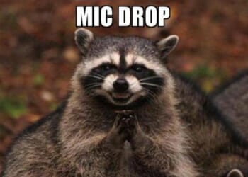 MASTER Class! AG Hamilton SCHOOLS WaPo Hack Playing Race Card to Defend Somali Fraud Ring in Minnesota – Twitchy