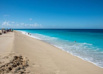 Arlene Lillis, Minnesota woman, killed in shark attack on St. Croix beach in U.S. Virgin Islands