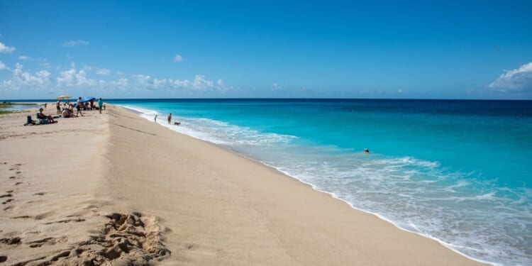 Arlene Lillis, Minnesota woman, killed in shark attack on St. Croix beach in U.S. Virgin Islands