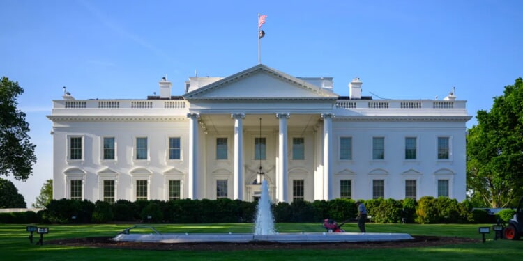 EXCLUSIVE: How One White House Council Is Fighting To End ‘Regulatory Reign Of Terror’