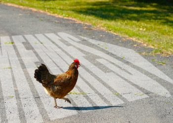 Monday Morning Meme Madness – Twitchy