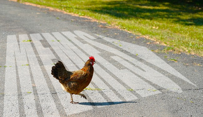 Monday Morning Meme Madness – Twitchy