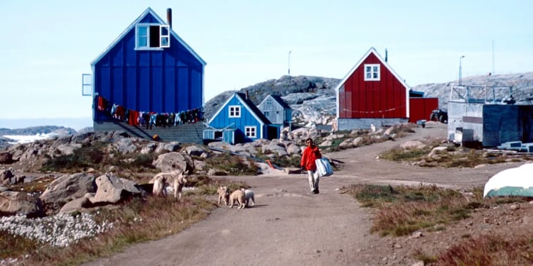 Greenlander Opposes America Taking Over His Island Because He Hunts ‘Cute’ Whales, Seals