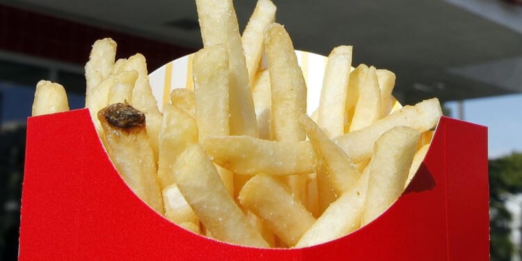 French fries, onions from loose shipping containers wash up on British beach