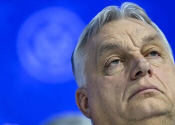 Trump’s Greenland Fixation Is Crushing The European Right