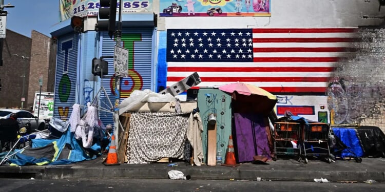 ‘We Aren’t Going To Solve Homelessness’: Inside LA’s Homeless Count