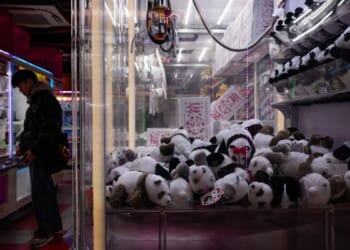 The last two pandas in Japan are leaving for China as ties are strained