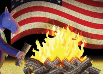 Democrats stoke chaos for political gain