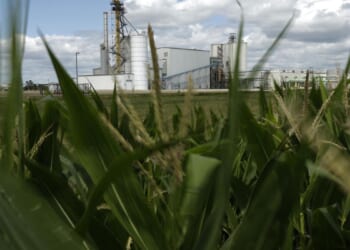 Trump says his administration will let E15 gasoline be sold permanently