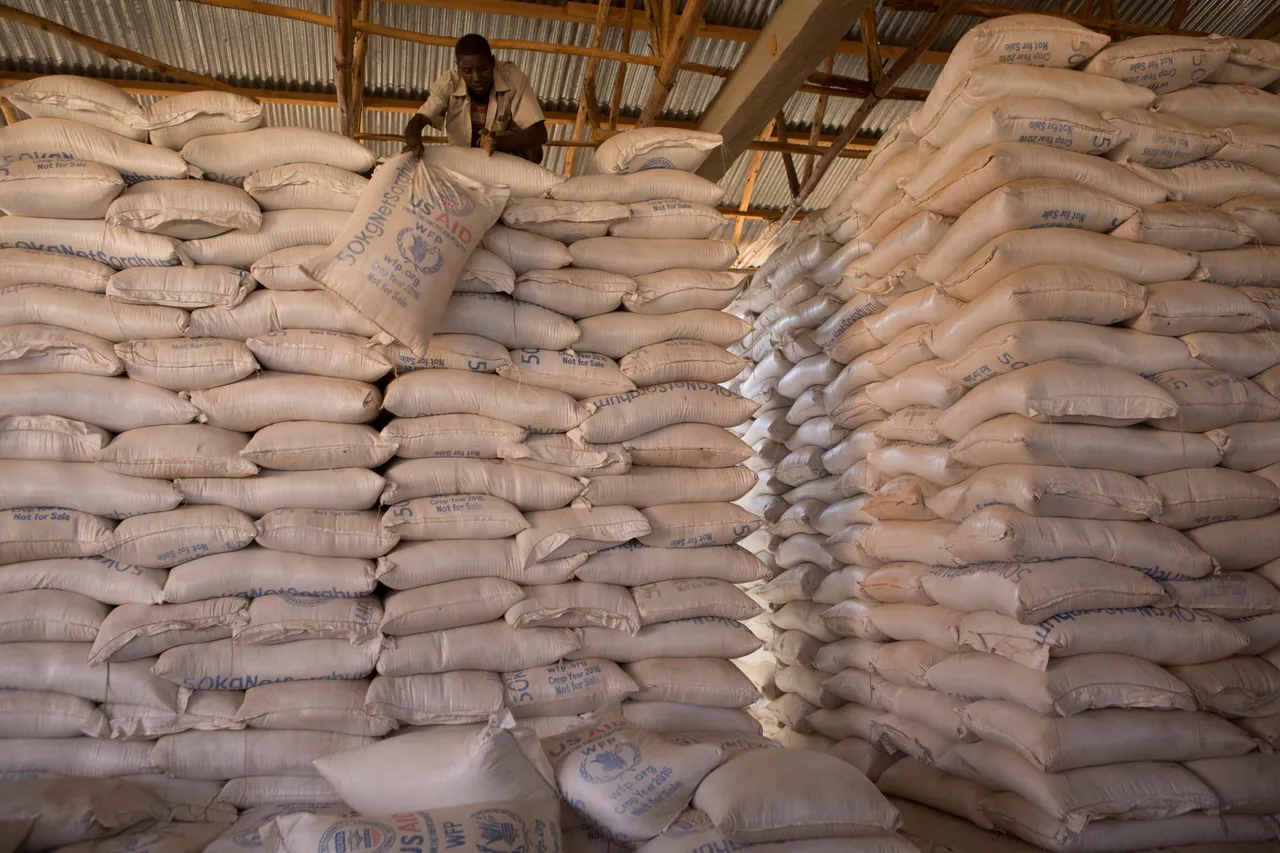 A World Food Programme (WFP) employee rearranges sacks of sorgum inside a warehouse at Bokolmanyo refugee camp in the Somali region of Ethiopia on December 19, 2017. (Photo credit ZACHARIAS ABUBEKER/AFP via Getty Images)