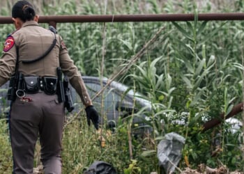 The Untold Story Of Illegal Immigration’s Consequences Exposes Democrats’ Hypocrisy