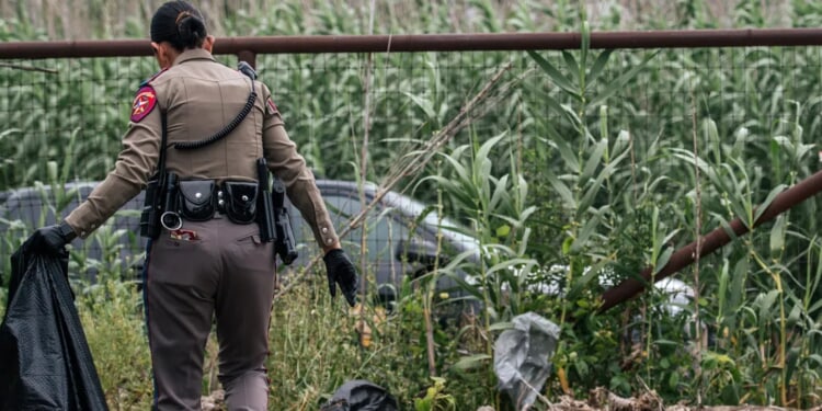 The Untold Story Of Illegal Immigration’s Consequences Exposes Democrats’ Hypocrisy